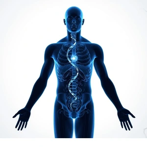 Hormone tests – endocrine and DNA icon