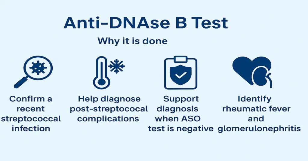 Infographic showing four key reasons for Anti-DNase B Test – confirming strep infection and diagnosing rheumatic fever or kidney inflammation.