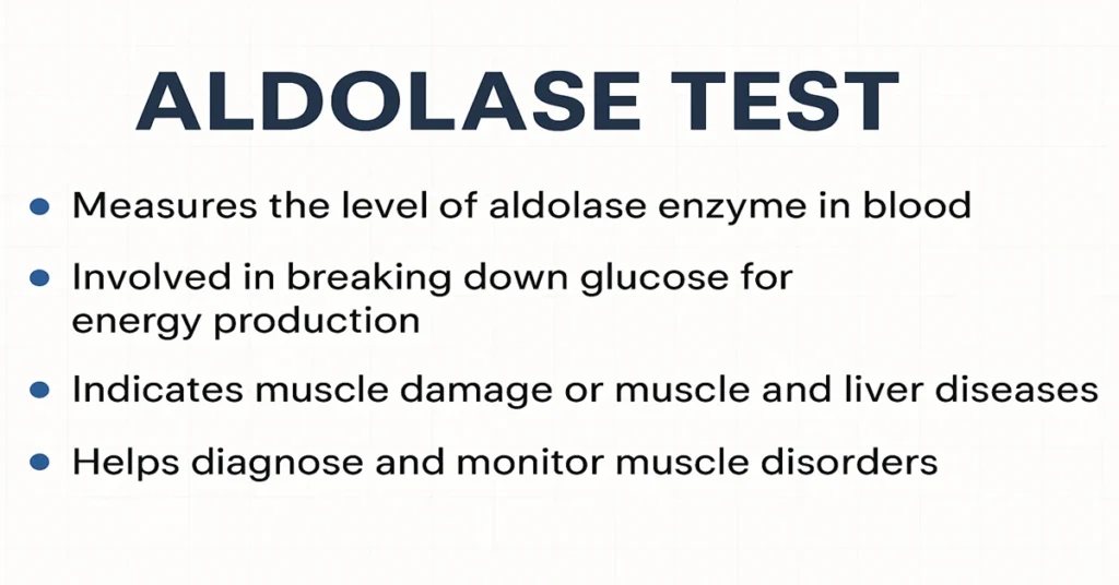 An educational infographic about the Aldolase Test showing key points such as enzyme purpose, normal range, and its role in detecting muscle and liver damage.