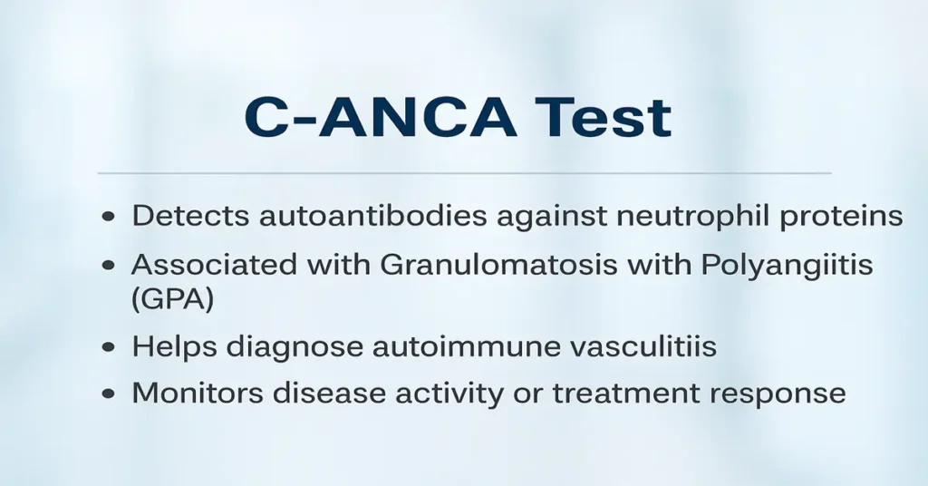 Infographic about the C-ANCA Test showing four key points: detects autoantibodies, linked with Granulomatosis with Polyangiitis (GPA), helps diagnose autoimmune vasculitis, and monitors disease activity or treatment response.