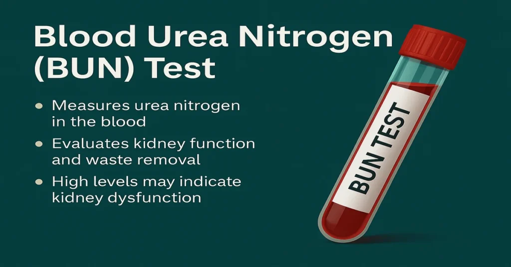 Infographic on Kidney Function Tests showing BUN, Creatinine, Uric Acid and other key kidney health markers