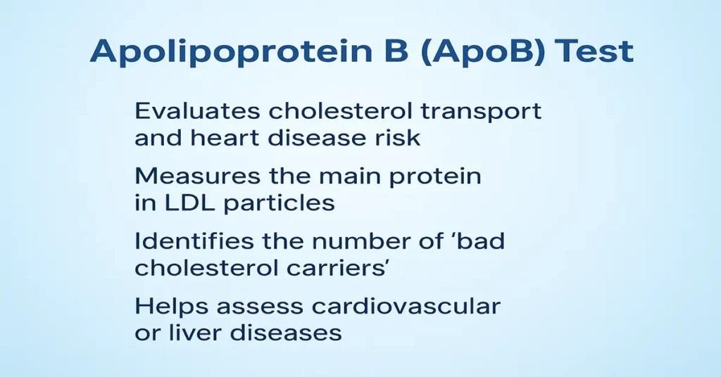Apolipoprotein B (ApoB) test infographic showing its purpose, function, and role in cholesterol and heart disease risk.