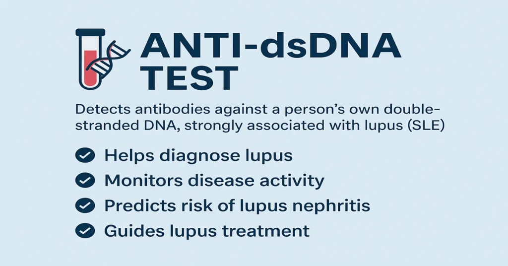 Infographic explaining the Anti-dsDNA Test with immune system and lupus icons, showing its use in diagnosing SLE, monitoring disease activity, and predicting kidney involvement.