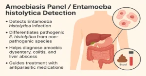 Amoebiasis Panel infographic showing Entamoeba histolytica detection, digestive system, stool test and four diagnostic points.