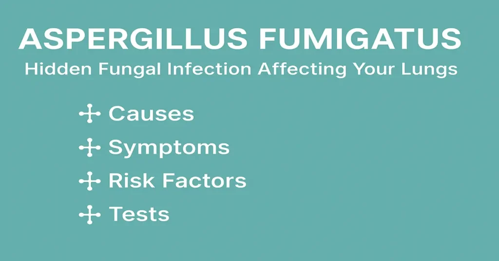 Aspergillus fumigatus infographic showing causes, symptoms, risk factors, and tests for fungal lung infection.