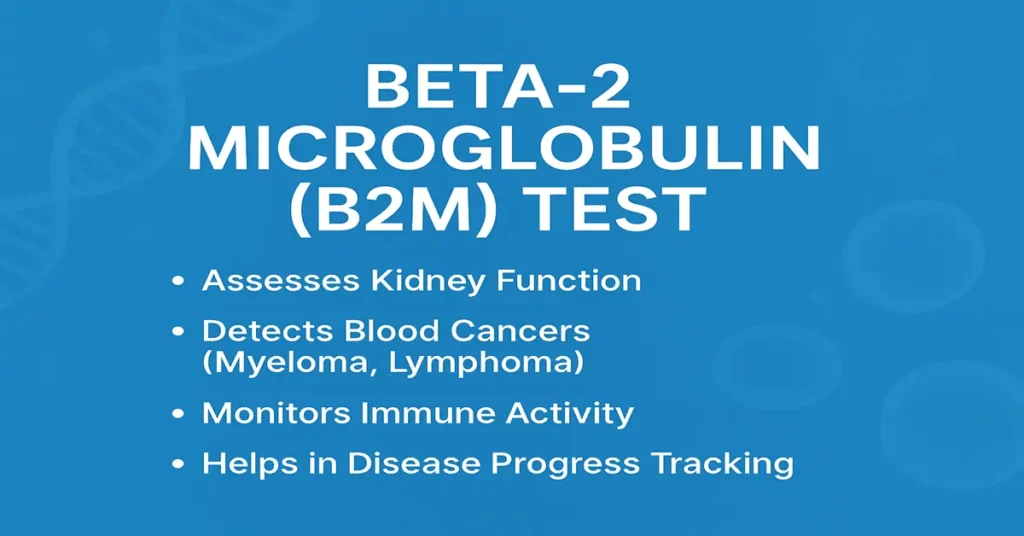 Beta-2 Microglobulin (B2M) Test infographic showing kidney function, cancer detection, immune monitoring, and disease tracking