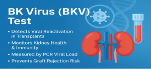BK Virus (BKV) Test infographic showing kidney transplant viral monitoring, PCR viral load testing, and graft rejection prevention