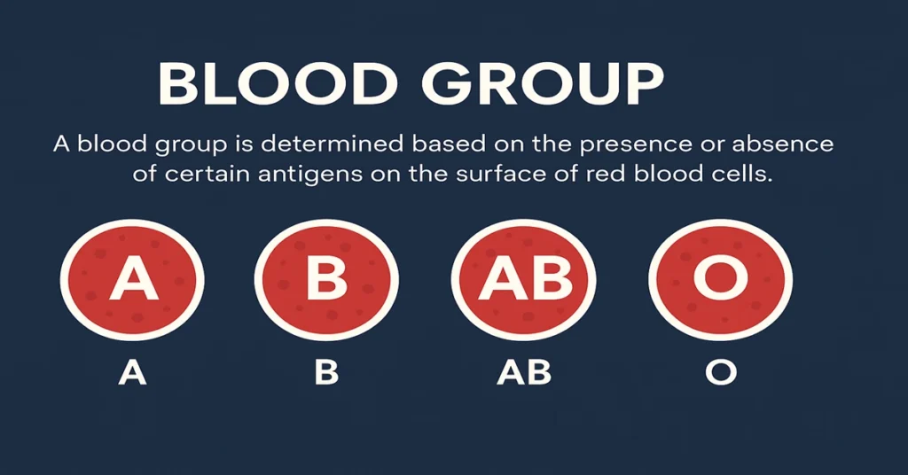 Blood Grouping and Rh Typing Test infographic showing ABO blood types, Rh factor positive and negative, and transfusion compatibility chart