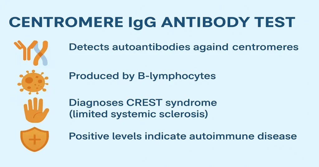 Infographic showing Centromere IgG Antibody Test key points — detection of centromere autoantibodies, B-lymphocyte production, CREST syndrome diagnosis, and autoimmune indication.