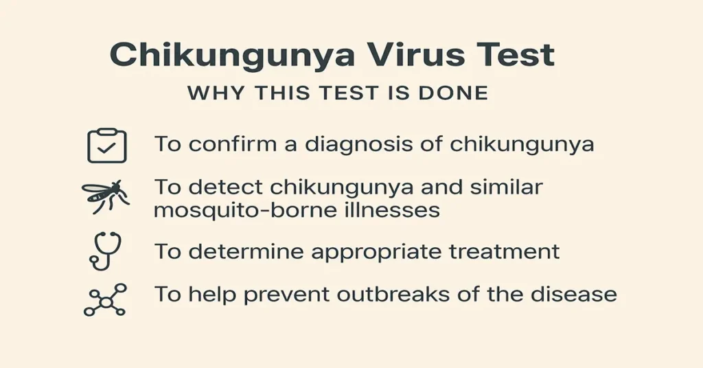 Infographic showing four main reasons for the Chikungunya Virus Test — confirming infection, detecting mosquito-borne diseases, determining treatment, and preventing outbreaks.