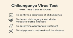 Infographic showing four main reasons for the Chikungunya Virus Test — confirming infection, detecting mosquito-borne diseases, determining treatment, and preventing outbreaks.