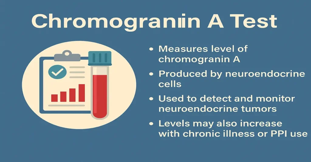 Chromogranin A test infographic showing key points about the CgA blood test, including its purpose, normal range, causes of high levels, and sample type.