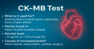 CK-MB Test infographic summarizing key points — purpose, normal range, causes of high levels, and sample type — with a futuristic cardiac design showing heart and enzyme visuals in the center.