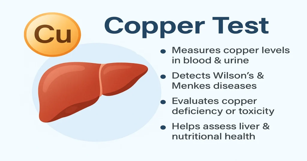Infographic showing the Copper Test with a liver and copper atom illustration, explaining that it measures copper levels in blood and urine, detects Wilson’s and Menkes diseases, identifies copper deficiency or toxicity, and monitors liver health.X