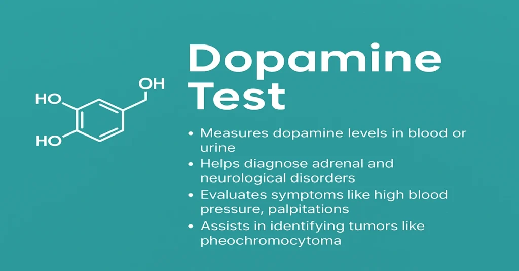 Infographic explaining the Dopamine Test with brain and adrenal icons, showing dopamine’s role in mood, movement, heart rate, blood pressure, and detection of adrenal or neurological disorders.