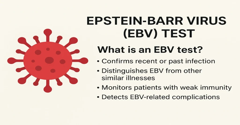 Infographic explaining the Epstein-Barr Virus (EBV) Test with virus icons, showing IgM/IgG detection, confirmation of mono infection, reactivation monitoring, and PCR-based diagnosis.