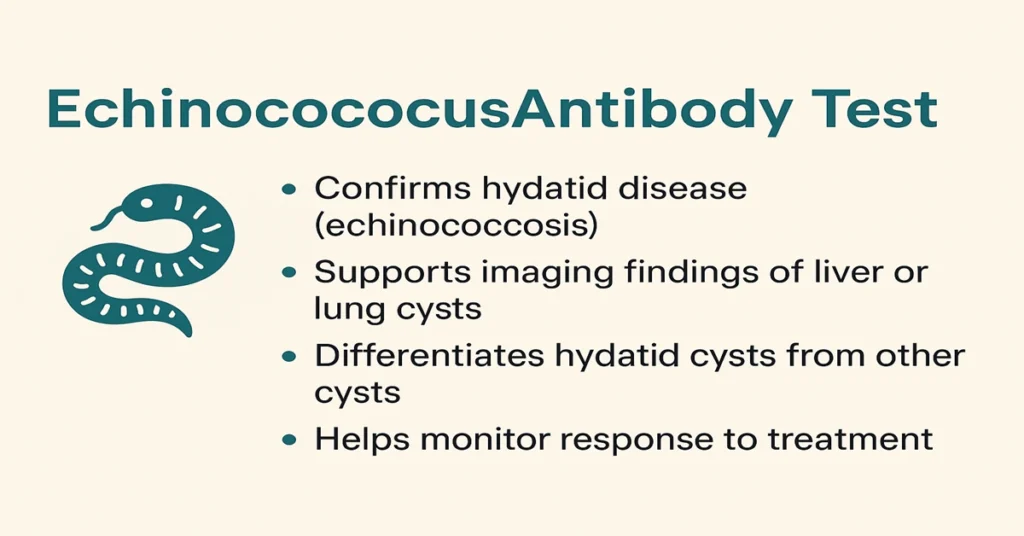 Infographic explaining the Echinococcus Antibody Test with parasite and liver/lung cyst icons, showing its role in diagnosing hydatid disease, confirming Echinococcus infection, and supporting imaging findings.