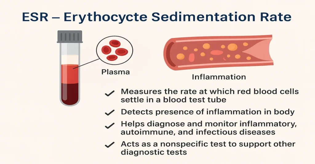ESR test infographic showing red blood cell sedimentation, inflammation graphic and four key points about ESR purpose.