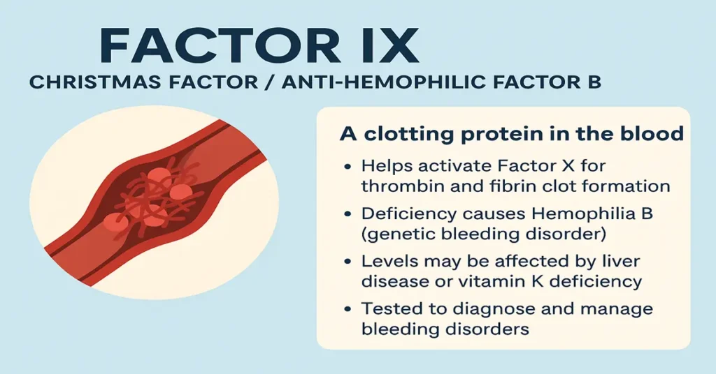 Factor IX test infographic with centered title and four points explaining uses in bleeding and clotting disorders.