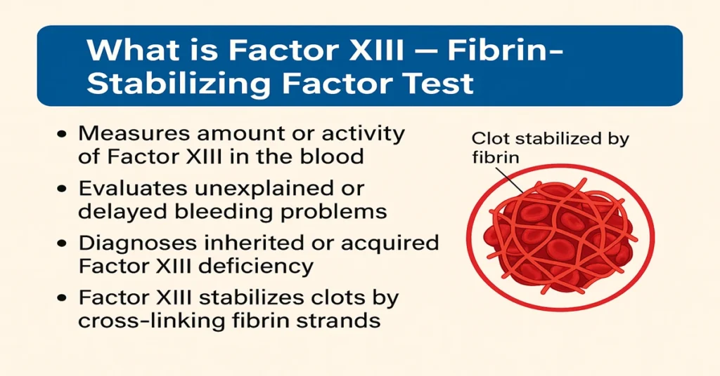 Factor XIII test infographic showing clot stabilization role with four points on bleeding evaluation and clot strength.