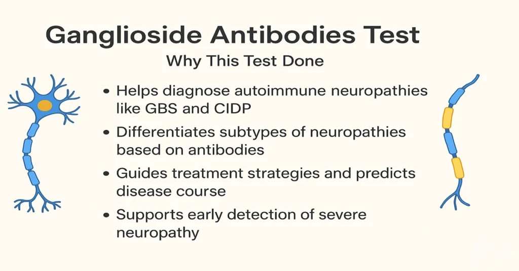 Infographic explaining why the Ganglioside Antibodies Test is done, with neuron and myelin icons, showing its role in diagnosing GBS, CIDP, and autoimmune neuropathies.