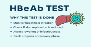 Infographic explaining why the HBeAb Test is done, showing hepatitis B virus and liver icons with points about viral replication and infection monitoring.