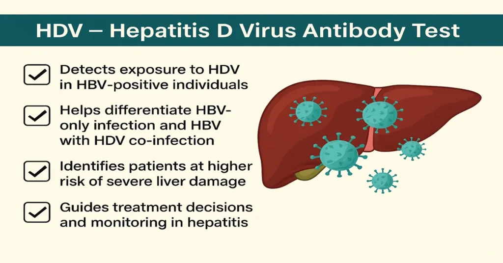 HDV antibody test infographic with liver illustration and key points about Hepatitis D detection, co-infection with HBV, and liver damage risks.