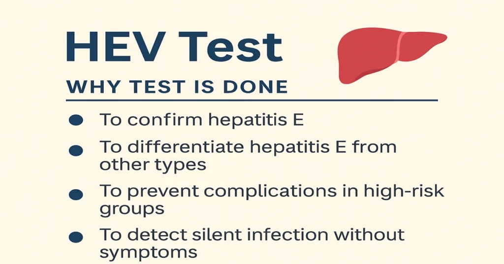 HEV Test infographic explaining why the Hepatitis E Virus test is done, including confirmation of hepatitis E, differentiation from other hepatitis types, detection in high-risk groups, and silent infection identification.