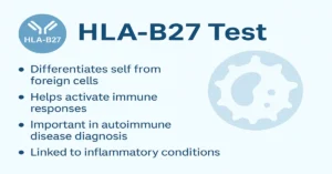 Infographic for the HLA-B27 Test showing four key points about immune recognition, activation, autoimmune disease diagnosis, and inflammatory condition linkage.