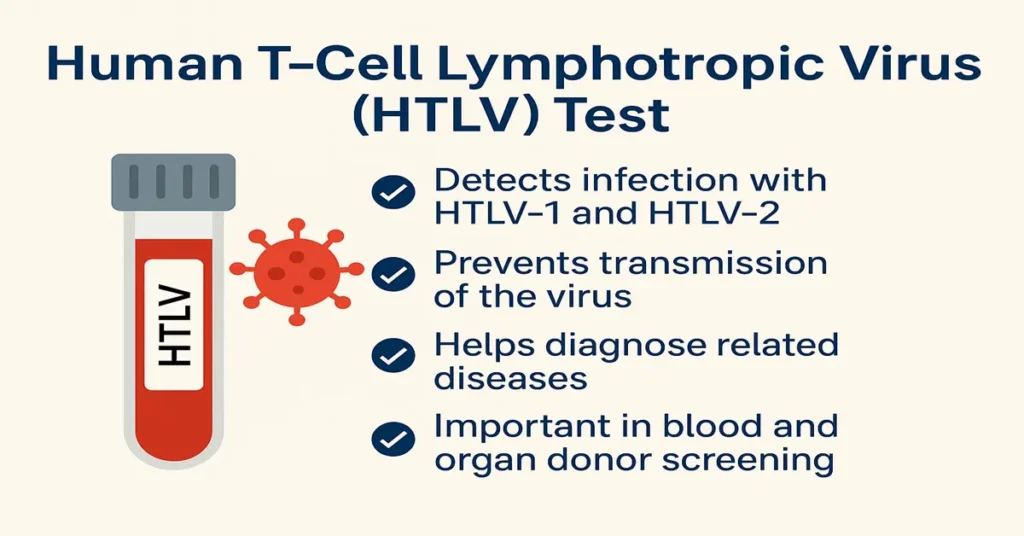 Infographic for the HTLV test showing four points about detecting HTLV-1/HTLV-2 infection, preventing transmission, diagnosing related diseases, and screening blood donors.