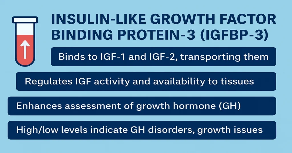 Medical infographic of IGFBP-3 showing its functions: binding IGF-1 and IGF-2, regulating IGF availability, improving growth hormone assessment, and indicating GH-related disorders.