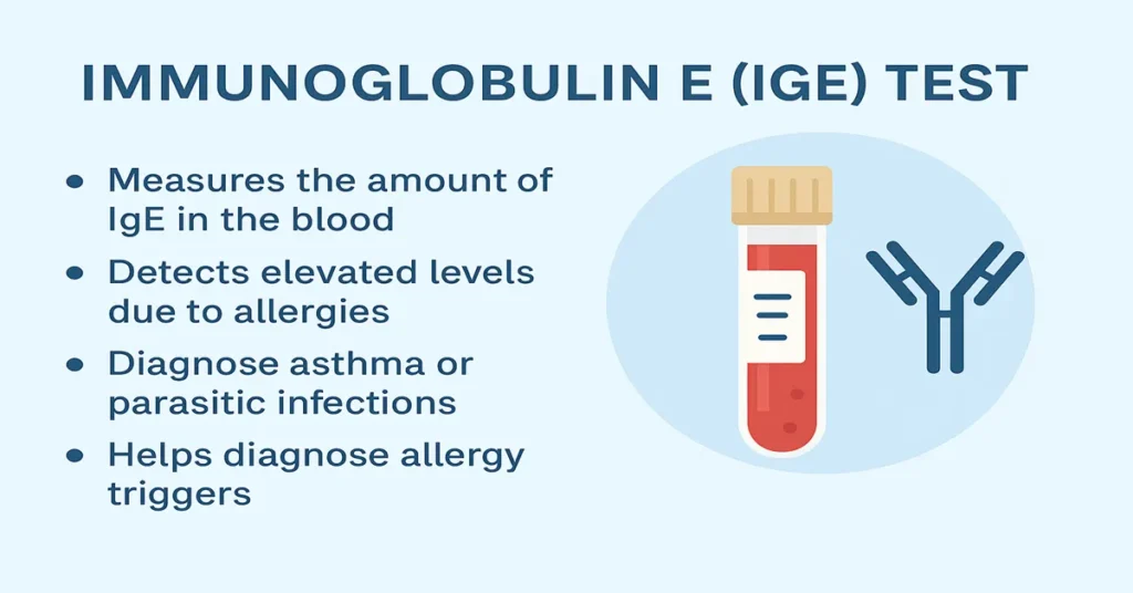 Medical infographic showing the Immunoglobulin E (IgE) test with 4 clear points explaining allergy detection, asthma diagnosis, and IgE measurement.