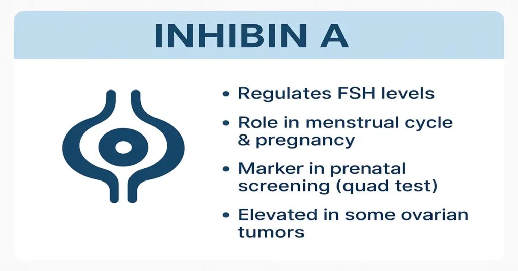 Medical infographic of Inhibin A showing its role in regulating FSH, involvement in pregnancy and menstrual cycle, use in quad screening, and elevation in ovarian tumors.