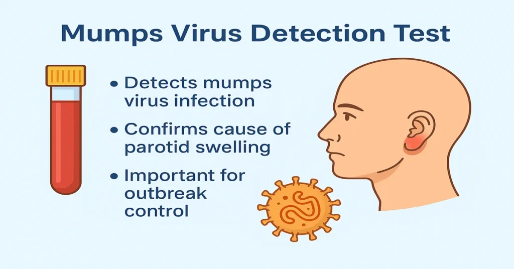 Infographic showing the Mumps Virus Detection Test with a blood vial, swollen parotid gland near the ear, and mumps virus icon, highlighting detection of mumps infection, confirmation of parotid swelling cause, and outbreak control.