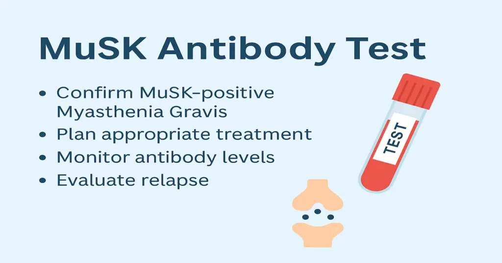 MuSK Antibody Test – 4 important things to know about the test: confirms MuSK-positive Myasthenia Gravis, helps treatment planning, monitors antibody levels, and checks relapse.
