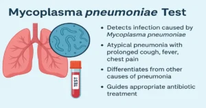 Infographic showing the Mycoplasma pneumoniae Test with lungs, magnified Mycoplasma bacteria, and a test vial, highlighting detection of atypical pneumonia, prolonged cough symptoms, differentiation from other pneumonia causes, and guidance for antibiotic treatment.