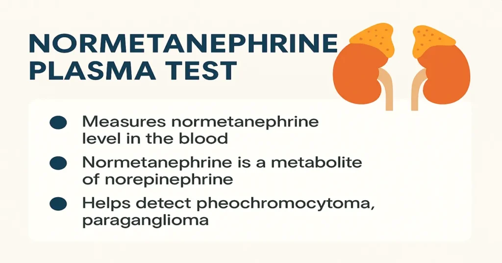 Medical infographic showing the Normetanephrine Plasma Test with adrenal gland illustration and key points explaining its role in detecting pheochromocytoma and paraganglioma.