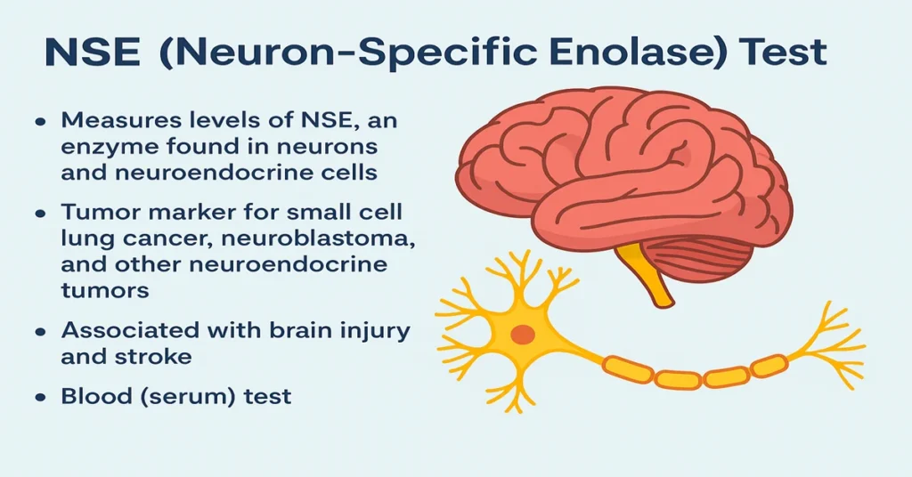 Medical infographic showing the NSE (Neuron-Specific Enolase) test with brain and neuron illustration, explaining its role in detecting neuroendocrine tumors, small cell lung cancer, neuroblastoma, and brain injury.