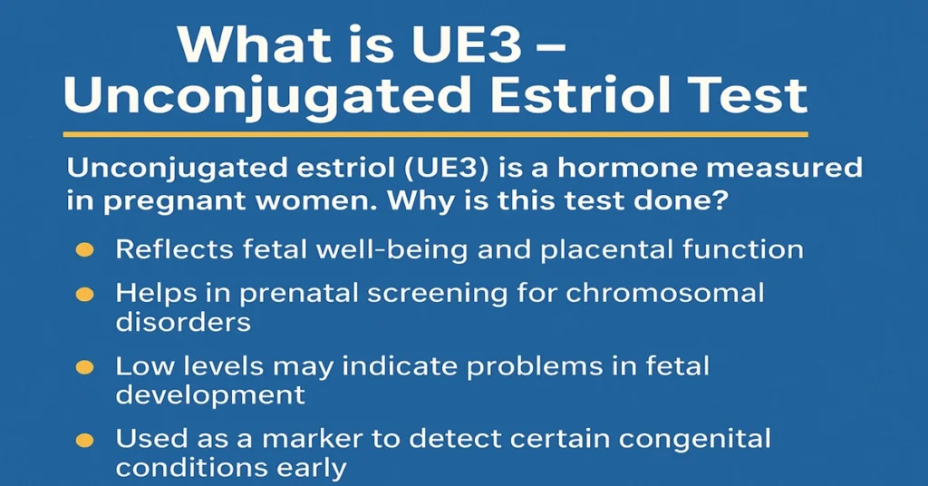 UE3 test infographic showing unconjugated estriol purpose with four points for pregnancy and fetal chromosomal screening.