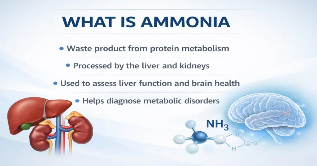 Medical infographic explaining what ammonia is, its role in protein metabolism, liver processing, and clinical use in blood tests